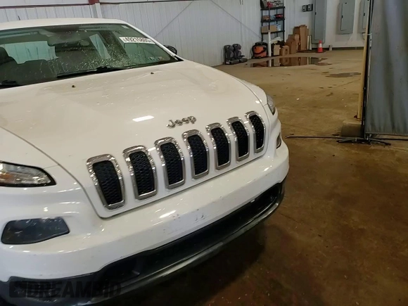 2017 Jeep Cherokee Sport with VIN 1C4PJMAB1HD227365, listed as a Copart auction lot 49215805 with 122,393 mi miles and Salvage Title. Bid and sale history available at carsss.com. Image 14.