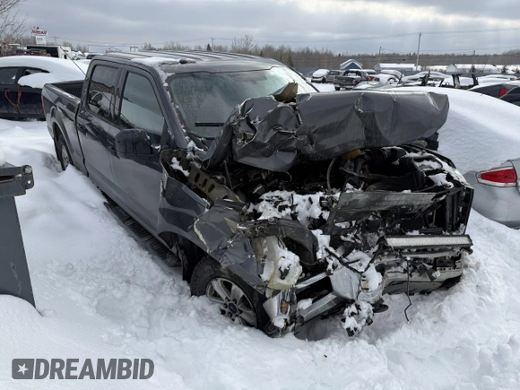2016 Ford F-150 XLT with VIN 1FTFW1EFXGFA74075, listed as a Copart auction lot 46610525 with Not Provided miles and Salvage Title. Bid and sale history available at carsss.com. Image 1.