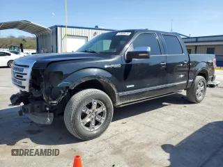2013 Ford F-150 XL with VIN 1FTFW1ET1DFB64314, listed as a Copart auction lot 51065875 with 206,635 mi miles and Clean Title. Bid and sale history available at carsss.com. Image 1.
