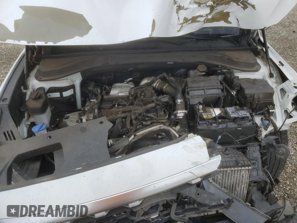 2019 Hyundai Santa Fe Ultimate with VIN 5NMS5CAA1KH073559, listed as a Copart auction lot 46430165 with 0 mi miles and Salvage Title. Bid and sale history available at carsss.com. Image 14.