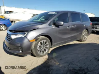 2024 Honda Odyssey EX-L with VIN 5FNRL6H69RB069598, listed as a Copart auction lot 81798314 with Not Provided miles and Salvage Title. Bid and sale history available at DreamBid. Image 1.