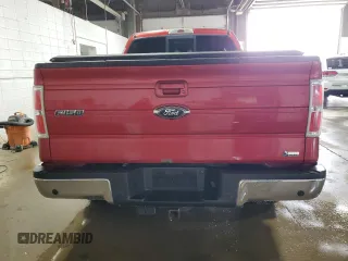 2010 Ford F-150 XL with VIN 1FTFX1EVXAFA21775, listed as a Copart auction lot 49798845 with 134,185 mi miles and Non Repairable. Bid and sale history available at carsss.com. Image 6.