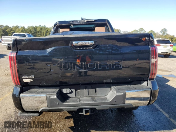 2022 Toyota Tundra 1794 Edition with VIN 5TFMA5DB2NX033703, listed as a Copart auction lot 41414545 with Not provided miles and Salvage title. Bid and sale history available at DreamBid. Image 6.
