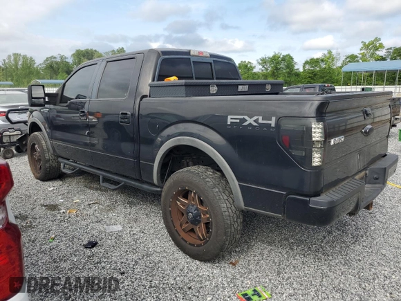 2013 Ford F-150 XL with VIN 1FTFW1EF8DFA98497, listed as a Copart auction lot 55030295 with 231,057 mi miles and Salvage title. Bid and sale history available at DreamBid. Image 2.