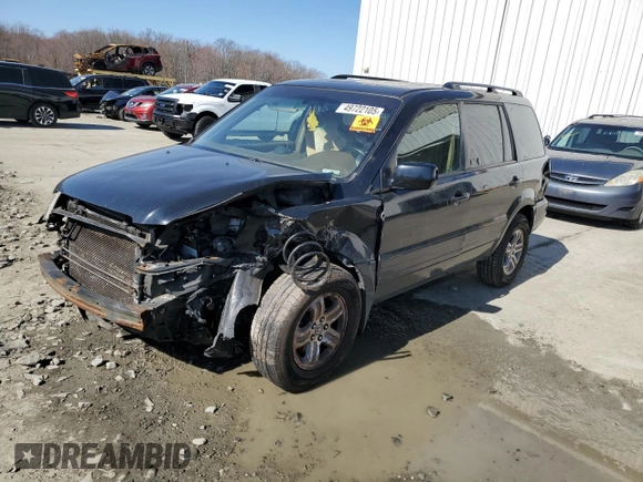 2005 Honda Pilot EX-L with VIN 2HKYF18545H554157, listed as a Copart auction lot 49722105 with 0 mi miles and Salvage Title. Bid and sale history available at carsss.com. Image 1.