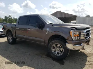 2021 Ford F-150 XL with VIN 1FTFW1E81MFC40903, listed as a Copart auction lot 59618935 with 97,419 mi miles and Salvage title. Bid and sale history available at DreamBid. Image 4.