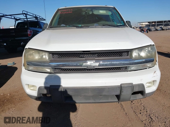 2003 Chevrolet TrailBlazer LS with VIN 1GNDS13S132353782, listed as a IAAI auction lot 41268957 with 232,055 mi miles. Bid and sale history available at carsss.com. Image 6.