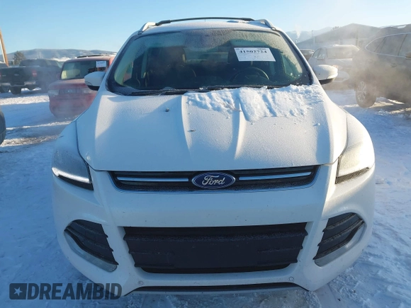 2016 Ford Escape Titanium with VIN 1FMCU9J94GUC81270, listed as a IAAI auction lot 41502724 with 128,161 mi miles. Bid and sale history available at carsss.com. Image 12.