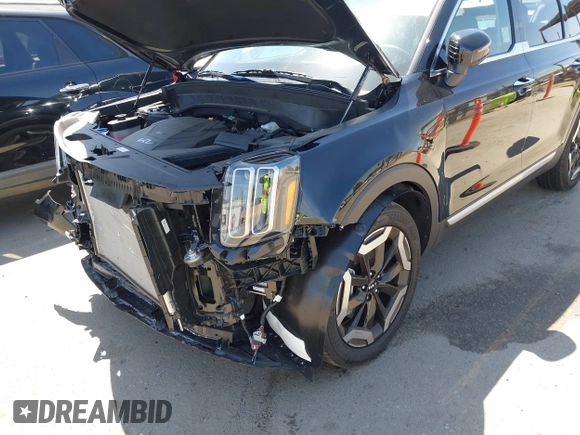 2025 Kia Telluride S with VIN 5XYP64GC4SG623557, listed as a IAAI auction lot 42385589 with 1,538 mi miles and . Bid and sale history available at DreamBid. Image 6.