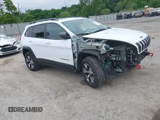 2014 Jeep Cherokee Trailhawk with VIN 1C4PJMBS4EW210719, listed as a IAAI auction lot 42461733 with 134,096 mi miles and . Bid and sale history available at DreamBid. Image 1.