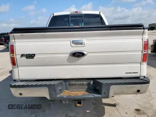 2013 Ford F-150 XL z VIN 1FTFW1EF3DKF71861, wystawiony jako Copart lot #61762415 z przebiegiem 118 794 mil mil oraz Szkoda całkowita • Salvage title. Historia ofert i sprzedaży dostępna na DreamBid. Obrazek 6.