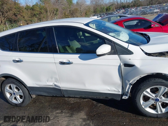 2015 Ford Escape SE with VIN 1FMCU0G70FUA46980, listed as a IAAI auction lot 41213582 with 246,343 mi miles. Bid and sale history available at carsss.com. Image 13.