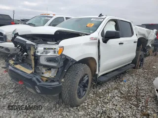 2023 Chevrolet Silverado 1500 LT Trail Boss with VIN 3GCUDFED2PG326831, listed as a Copart auction lot 81095664 with Not Provided miles and Salvage Title. Bid and sale history available at DreamBid. Image 1.