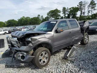2009 Ford F-150 XL with VIN 1FTPW14V19KC62040, listed as a Copart auction lot 55815415 with 292,518 mi miles and Salvage title. Bid and sale history available at DreamBid. Image 1.