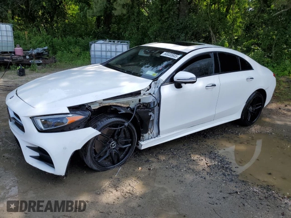 2019 Mercedes-Benz CLS 450 with VIN WDD2J5KB9KA028139, listed as a Copart auction lot 60033935 with 71,341 mi miles and Clean title. Bid and sale history available at DreamBid. Image 1.