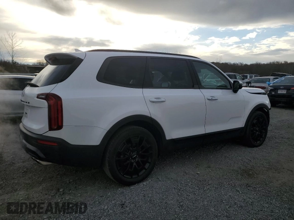 2022 Kia Telluride EX with VIN 5XYP3DHC3NG252841, listed as a Copart auction lot 81147994 with 50,481 mi miles and Salvage Title. Bid and sale history available at carsss.com. Image 3.