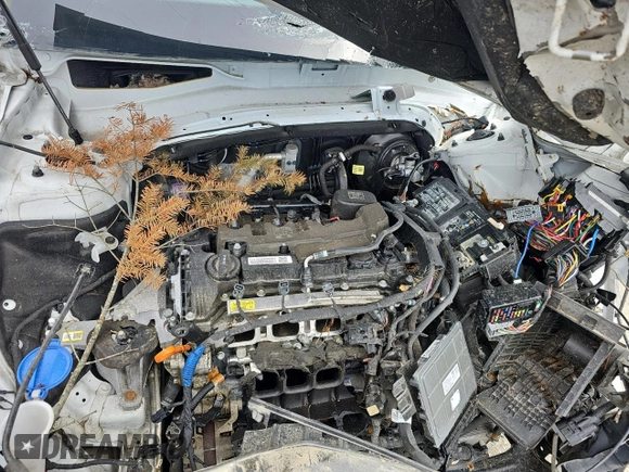 2022 Hyundai Santa Fe SE z VIN 5NMS1DAJ0NH412060, wystawiony jako Copart lot #59528605 z przebiegiem Nie podano mil oraz Czysty tytuł • Clean title. Historia ofert i sprzedaży dostępna na DreamBid. Obrazek 7.
