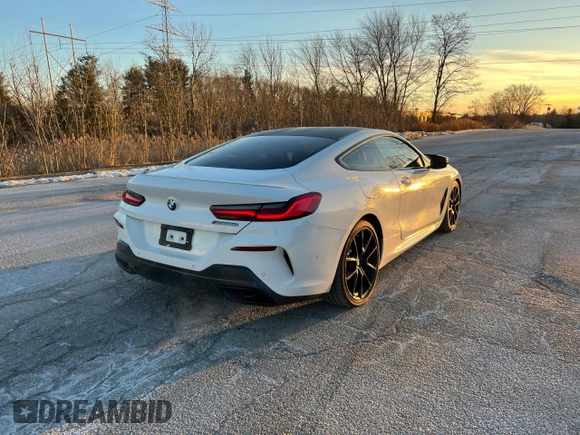 2019 BMW 8 Series M850i xDrive with VIN WBABC4C59KBU95625, listed as a Copart auction lot 43650255 with 64,452 mi miles and Clean Title. Bid and sale history available at DreamBid. Image 3.