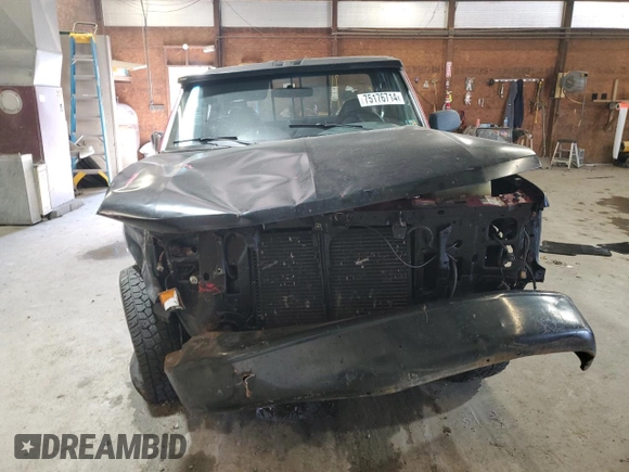 1994 Ford F-150 with VIN 1FTEX14N6RKB98078, listed as a Copart auction lot 75176714 with 243,667 mi miles and Salvage Title. Bid and sale history available at carsss.com. Image 5.