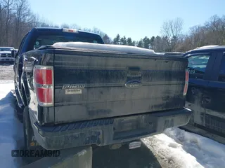 2014 Ford F-150 XL с VIN 1FTEX1EM9EFC52711, выставлен на аукционе IAAI как лот 41474644 с пробегом 114 045 миль миль и . История ставок и продаж доступна на DreamBid. Изображение 16.