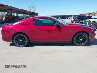 2014 Ford Mustang V6 with VIN 1ZVBP8AM3E5331909, listed as a IAAI auction lot 41843849 with 141,514 mi miles. Bid and sale history available at carsss.com. Image 13.