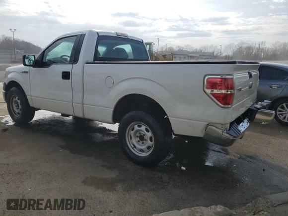 2011 Ford F-150 XL with VIN 1FTMF1CM6BFD25076, listed as a Copart auction lot 50706195 with 249,597 mi miles and Salvage Title. Bid and sale history available at DreamBid. Image 2.