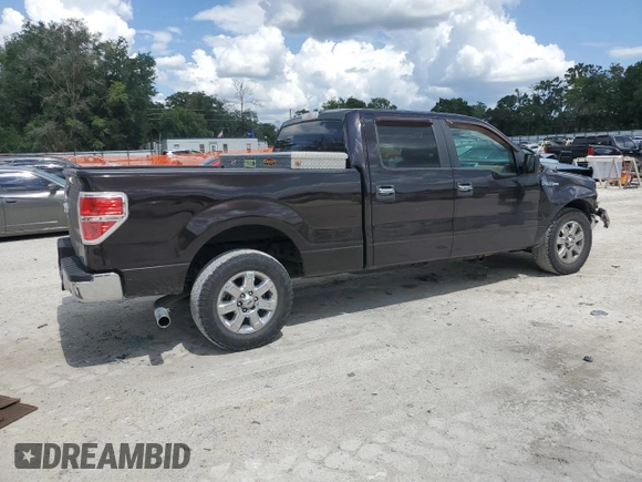 2013 Ford F-150 XL with VIN 1FTFW1EF1DFB70494, listed as a Copart auction lot 61549945 with 124,216 mi miles and Salvage title. Bid and sale history available at DreamBid. Image 3.