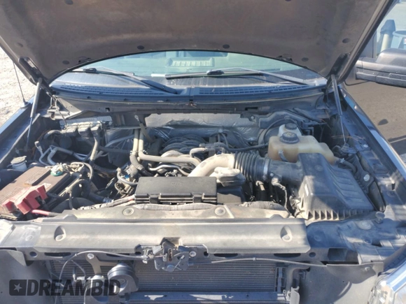 2013 Ford F-150 XL with VIN 1FTMF1EFXDFC41926, listed as a Copart auction lot 52621045 with 137,599 mi miles and Clean Title. Bid and sale history available at DreamBid. Image 13.