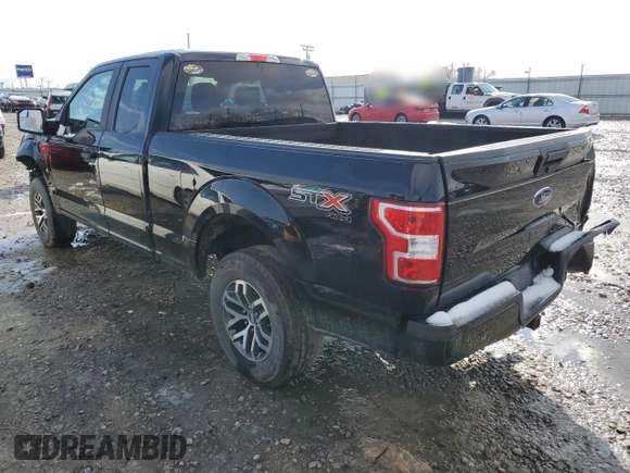 2018 Ford F-150 XL with VIN 1FTEX1EP5JKC12119, listed as a Copart auction lot 46260685 with 161,053 mi miles and Salvage Title. Bid and sale history available at carsss.com. Image 2.