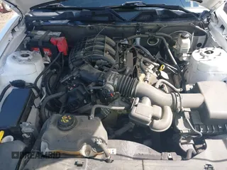 2013 Ford Mustang V6 with VIN 1ZVBP8AMXD5281234, listed as a IAAI auction lot 42260113 with 124,188 mi miles and . Bid and sale history available at DreamBid. Image 10.