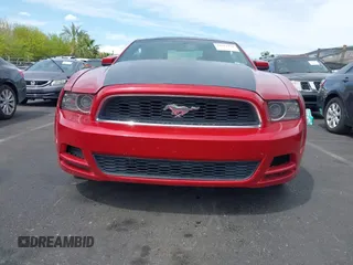 2013 Ford Mustang V6 with VIN 1ZVBP8AM1D5246288, listed as a IAAI auction lot 42024934 with 141,791 mi miles. Bid and sale history available at carsss.com. Image 6.