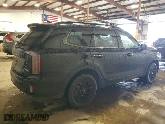 2024 Kia Telluride SX Prestige X-Pro with VIN 5XYP5DGC1RG498689, listed as a Copart auction lot 56469975 with 21,452 mi miles and Salvage title. Bid and sale history available at DreamBid. Image 3.