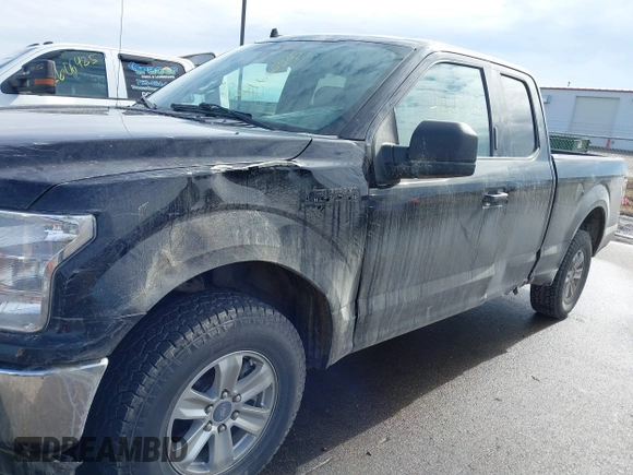 2020 Ford F-150 XL with VIN 1FTEX1EP8LFA99942, listed as a IAAI auction lot 41665385 with 96,398 mi miles. Bid and sale history available at carsss.com. Image 6.