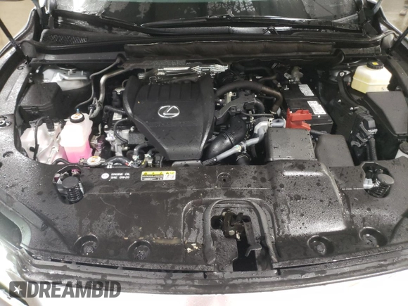 2024 Lexus RX with VIN 2T2BAMCAXRC063137, listed as a Copart auction lot 81781994 with 9,843 mi miles and Salvage Title. Bid and sale history available at carsss.com. Image 12.
