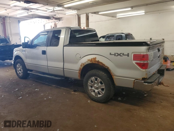 2013 Ford F-150 XL with VIN 1FTFX1EF1DFA81215, listed as a Copart auction lot 63077885 with 300,634 mi miles and Non repairable. Bid and sale history available at DreamBid. Image 2.
