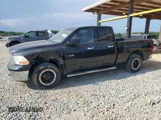 2010 Dodge 1500 SLT z VIN 1D7RV1GP0AS204441, wystawiony jako Copart lot #55341275 z przebiegiem 267 691 mil mil oraz Szkoda całkowita • Salvage title. Historia ofert i sprzedaży dostępna na DreamBid. Obrazek 1.
