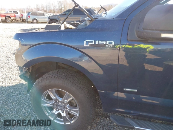 2017 Ford F-150 XL with VIN 1FTEX1EP2HFA30879, listed as a IAAI auction lot 41027941 with 54,480 mi miles. Bid and sale history available at carsss.com. Image 18.
