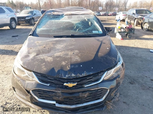 2018 Chevrolet Cruze LT with VIN 1G1BE5SM9J7139701, listed as a IAAI auction lot 41831117 with NaN miles. Bid and sale history available at carsss.com. Image 13.