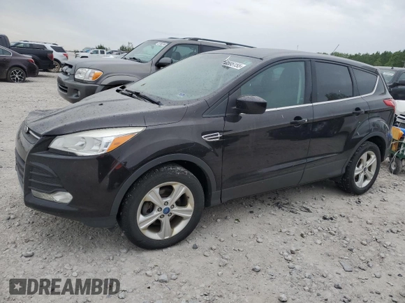 2013 Ford Escape SE with VIN 1FMCU0GX3DUB62509, listed as a Copart auction lot 57595155 with 134,253 mi miles and Clean title. Bid and sale history available at DreamBid. Image 1.