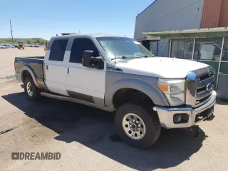 2011 Ford Super Duty F-250 SRW XL with VIN 1FT7W2BT5BEC94274, listed as a Copart auction lot 52419225 with 317,079 mi miles and Salvage Title. Bid and sale history available at carsss.com. Image 4.