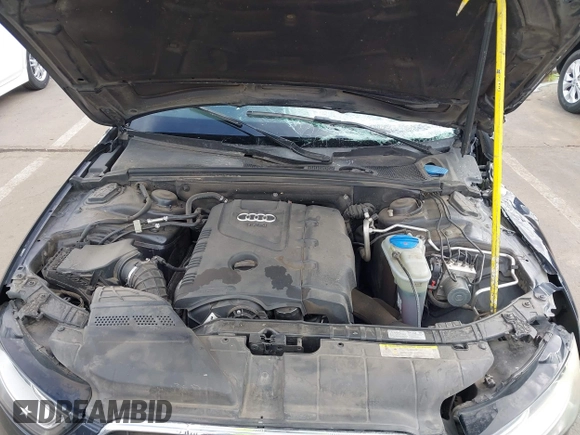 2013 Audi A4 Premium с VIN WAUAFAFL1DN028339, выставлен на аукционе IAAI как лот 41963256 с пробегом 242 697 миль миль и . История ставок и продаж доступна на DreamBid. Изображение 10.