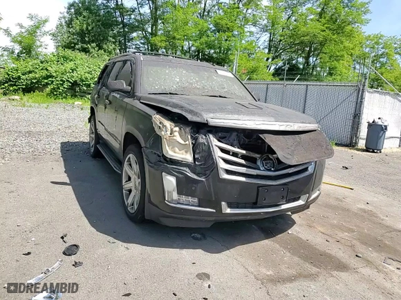 2015 Cadillac Escalade Luxury with VIN 1GYS4BKJ8FR229040, listed as a Copart auction lot 58475784 with 0 mi miles and Salvage Title. Bid and sale history available at carsss.com. Image 11.