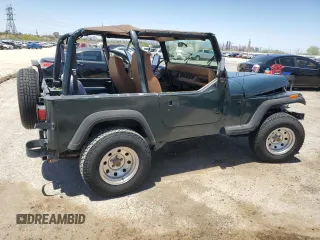 1994 Jeep Wrangler S with VIN 1J4FY19P7RP437520, listed as a Copart auction lot 57447085 with 124,023 mi miles and Salvage title. Bid and sale history available at DreamBid. Image 3.
