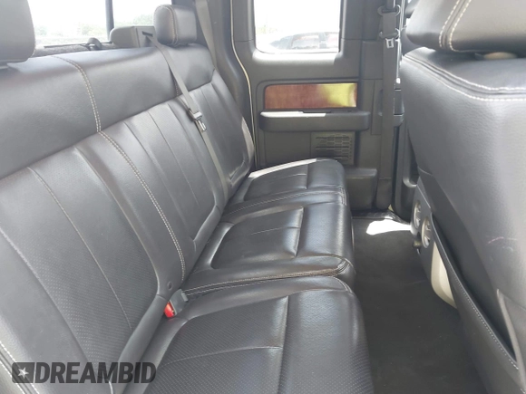 2009 Ford F-150 XLT with VIN 1FTRX12V59FA64787, listed as a IAAI auction lot 42502385 with 174,873 mi miles and . Bid and sale history available at DreamBid. Image 8.
