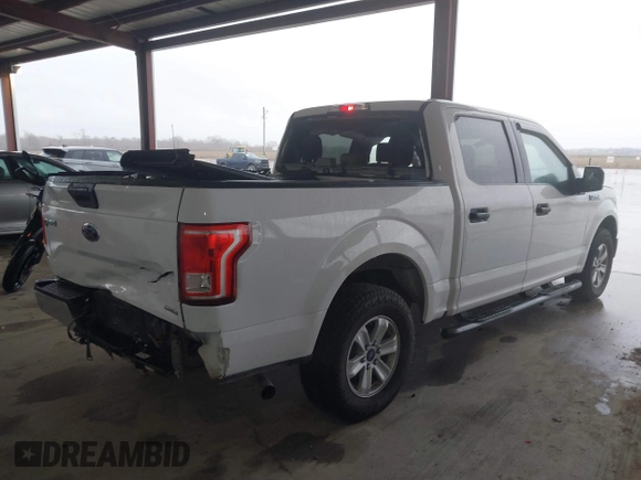 2016 Ford F-150 XL with VIN 1FTEW1CF5GKD18477, listed as a IAAI auction lot 41295275 with 168,271 mi miles and . Bid and sale history available at DreamBid. Image 4.