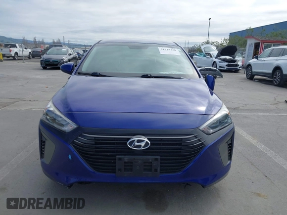 2019 Hyundai Ioniq Blue with VIN KMHC65LC1KU178876, listed as a IAAI auction lot 41718230 with 179,970 mi miles and . Bid and sale history available at DreamBid. Image 12.