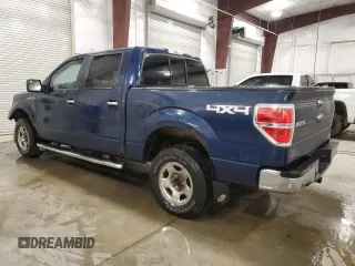 2013 Ford F-150 XL with VIN 1FTFW1EF9DKE61705, listed as a Copart auction lot 61339085 with 169,322 mi miles and Salvage title. Bid and sale history available at DreamBid. Image 2.