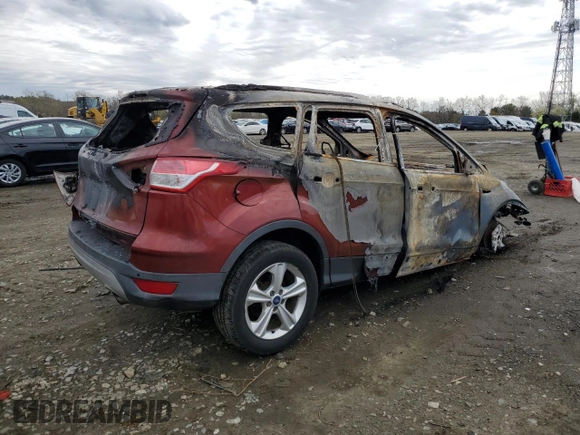 2014 Ford Escape SE with VIN 1FMCU0GXXEUA81170, listed as a Copart auction lot 52793675 with 0 mi miles and Salvage Title. Bid and sale history available at carsss.com. Image 3.