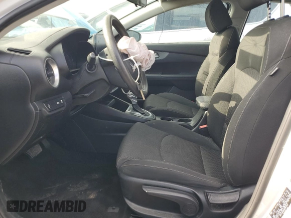 2019 Kia Forte LXS with VIN 3KPF24AD6KE067242, listed as a Copart auction lot 48718705 with 43,998 mi miles and Salvage Title. Bid and sale history available at DreamBid. Image 7.
