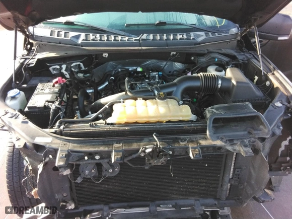 2019 Ford F-150 XL with VIN 1FTEW1EP3KKD89112, listed as a Copart auction lot 43225755 with 99,628 mi miles and Clean Title. Bid and sale history available at carsss.com. Image 11.